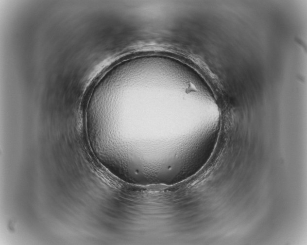 X0000093501167200710261132