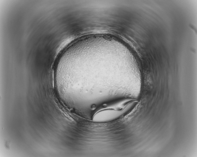 X0000093501171200710261132