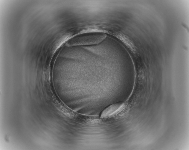 X0000093501173200710261132