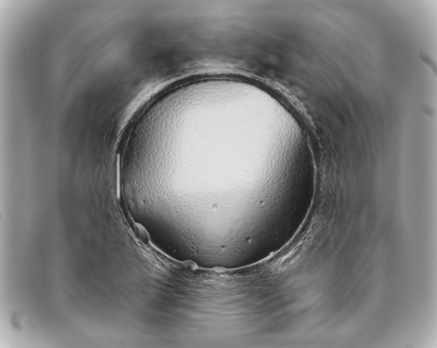 X0000093501175200710261132