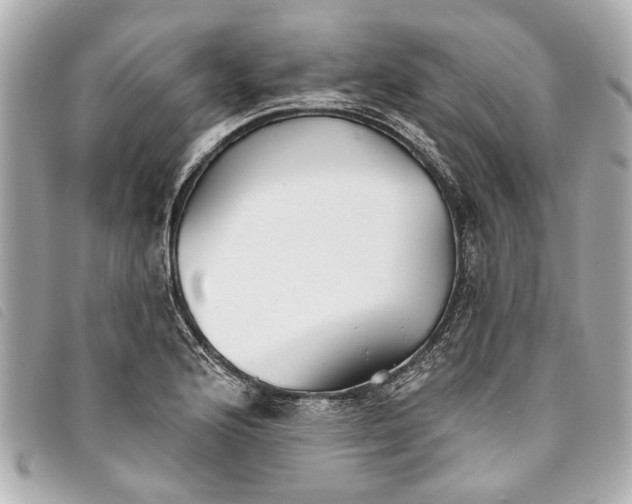 X0000093501176200710261132