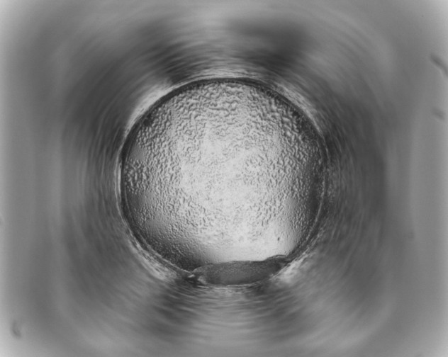 X0000093501179200710261132