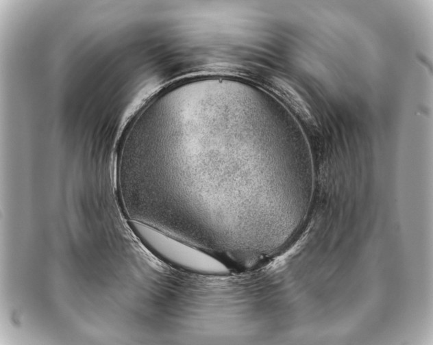 X0000093501180200710261132