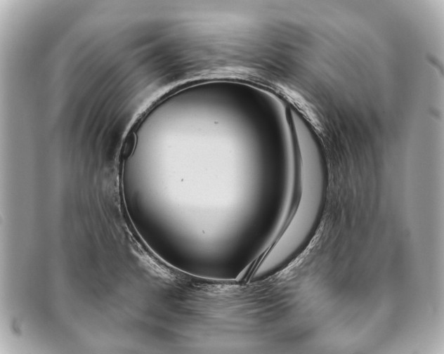 X0000093501184200710261132