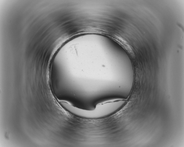 X0000093501188200710261132