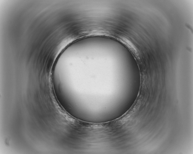 X0000093501190200710261132