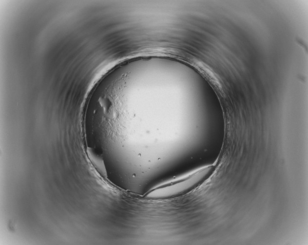 X0000093501192200710261132