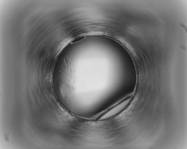 X0000093501193200710261132