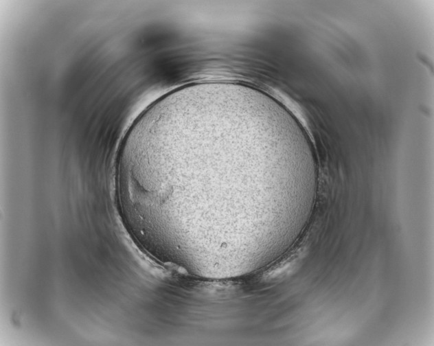 X0000093501195200710261132