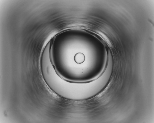 X0000093501196200710261132