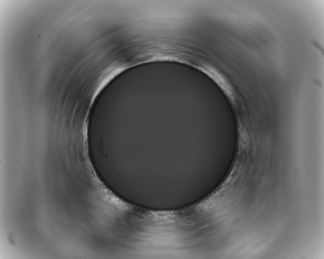 X0000093501198200710261132