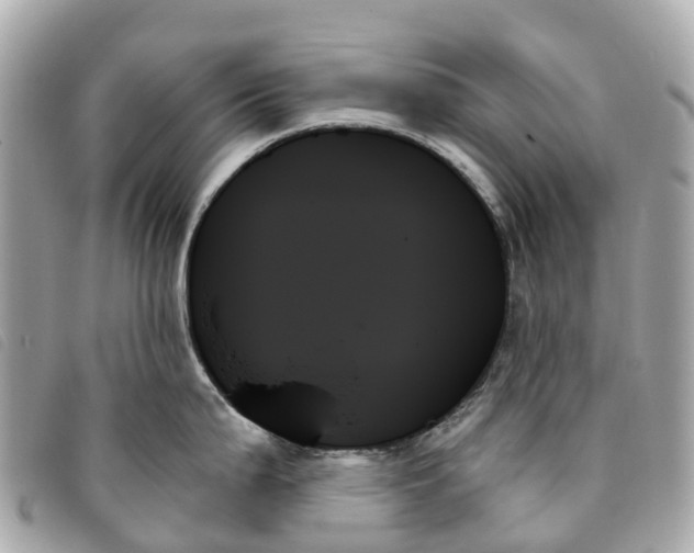 X0000093501199200710261132