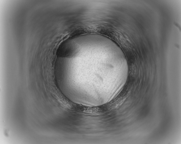 X0000093501201200710261131