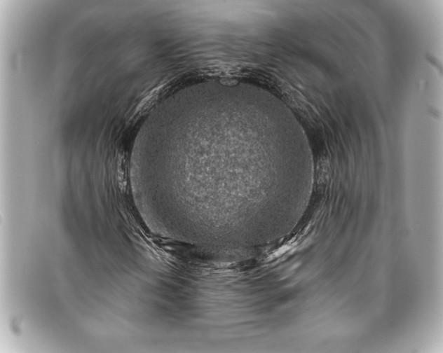 X0000093501202200710261131