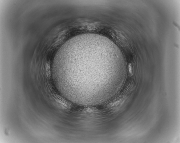 X0000093501203200710261131