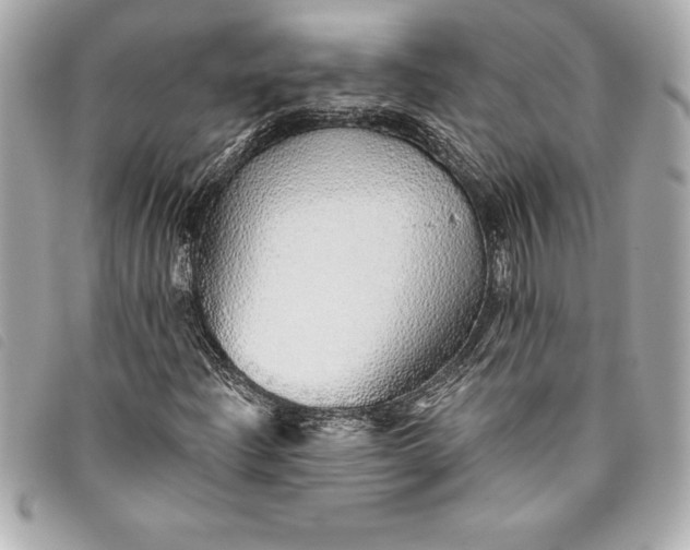 X0000093501204200710261131