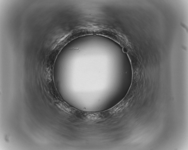 X0000093501205200710261131