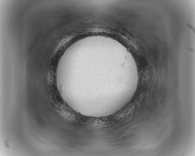 X0000093501207200710261131
