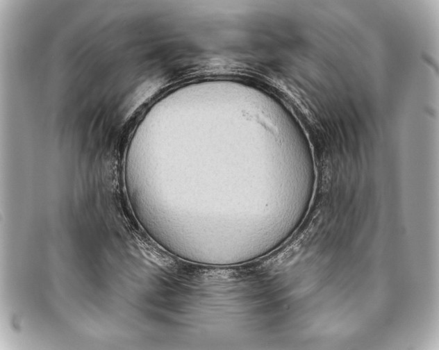 X0000093501211200710261131
