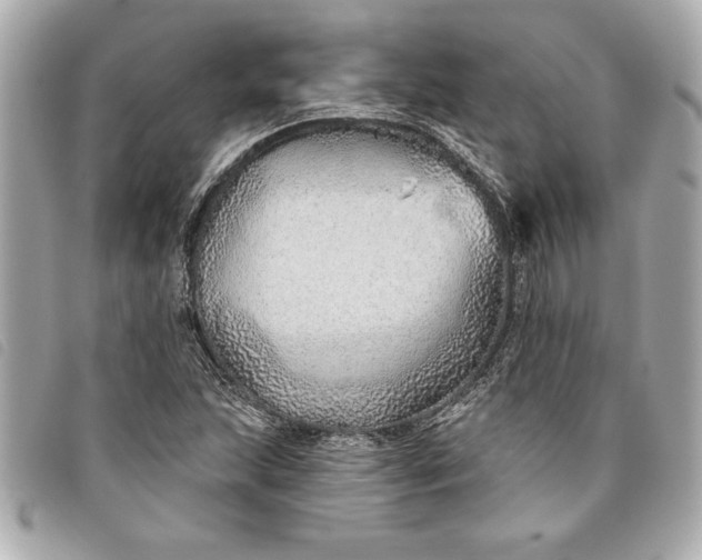X0000093501215200710261131