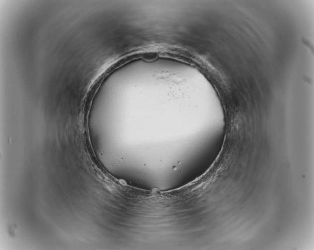 X0000093501216200710261131