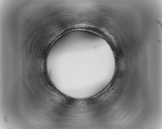 X0000093501217200710261131