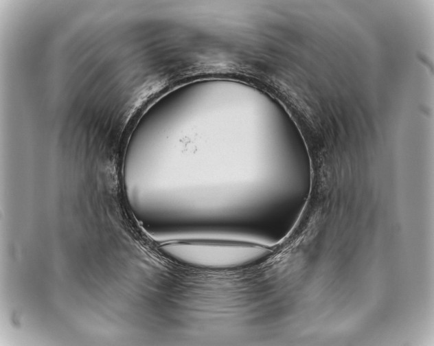 X0000093501218200710261131