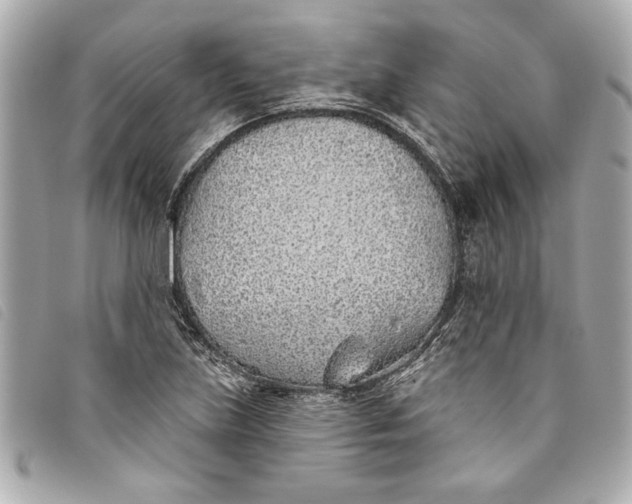 X0000093501219200710261131