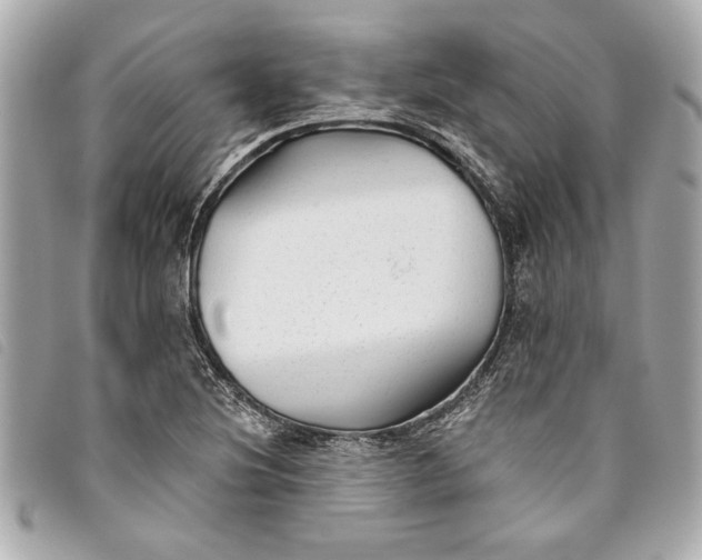 X0000093501220200710261131