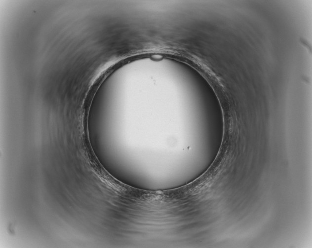 X0000093501222200710261131