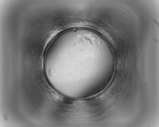 X0000093501224200710261131