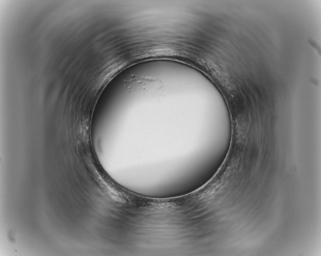 X0000093501225200710261131