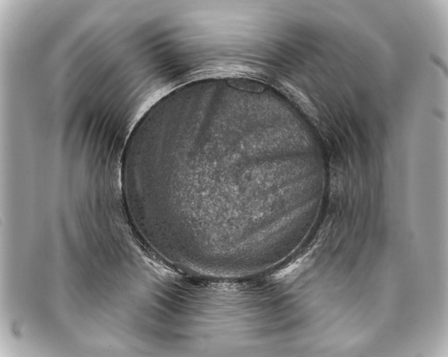 X0000093501226200710261131