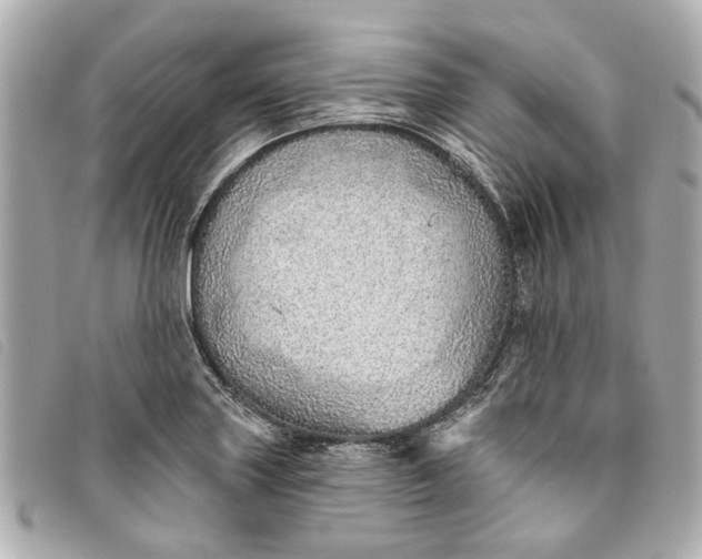 X0000093501227200710261131