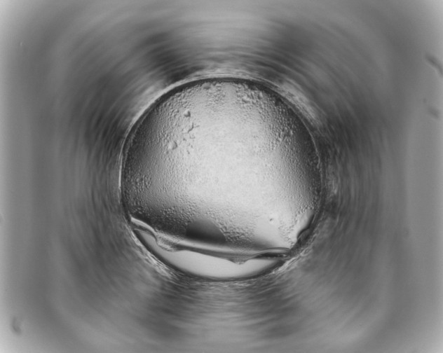 X0000093501228200710261131