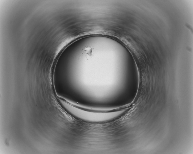 X0000093501230200710261131