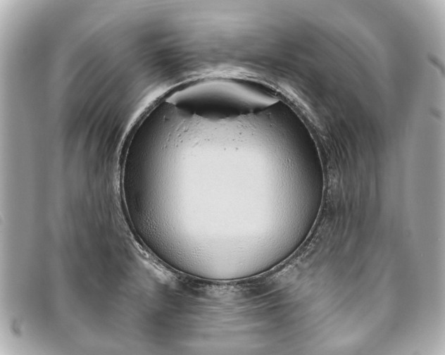 X0000093501232200710261131