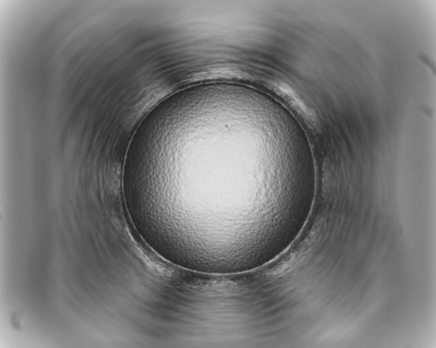 X0000093501233200710261131