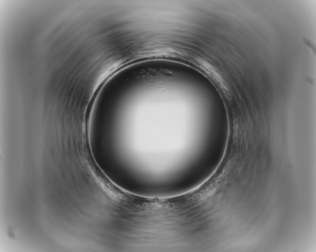 X0000093501234200710261131