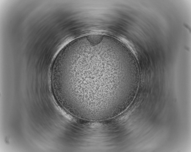 X0000093501235200710261131