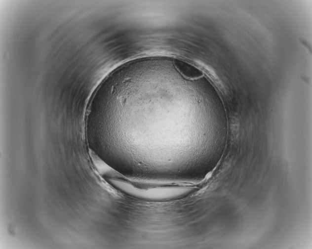 X0000093501236200710261132
