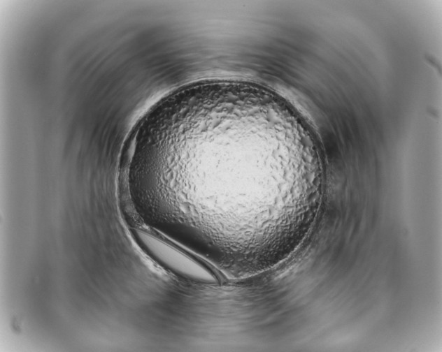 X0000093501237200710261132