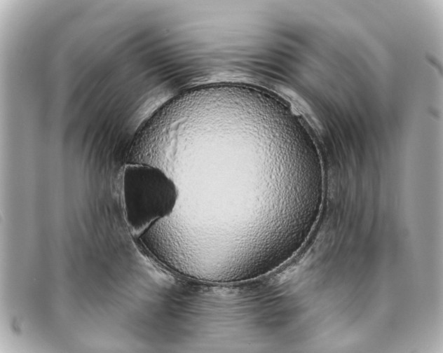 X0000093501241200710261132