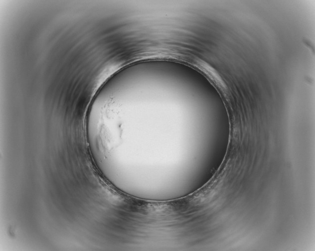 X0000093501242200710261132