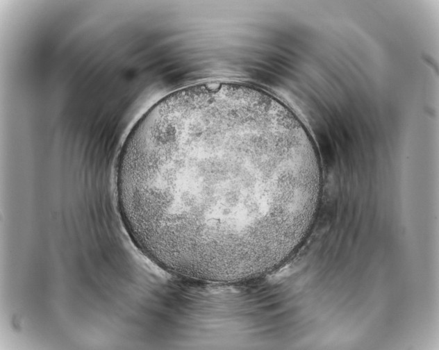 X0000093501243200710261132