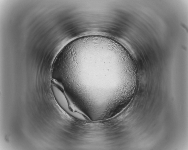 X0000093501244200710261132