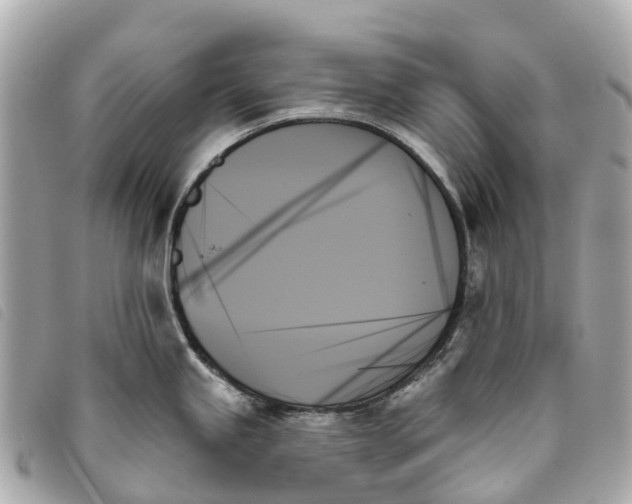 X0000093501245200710261132