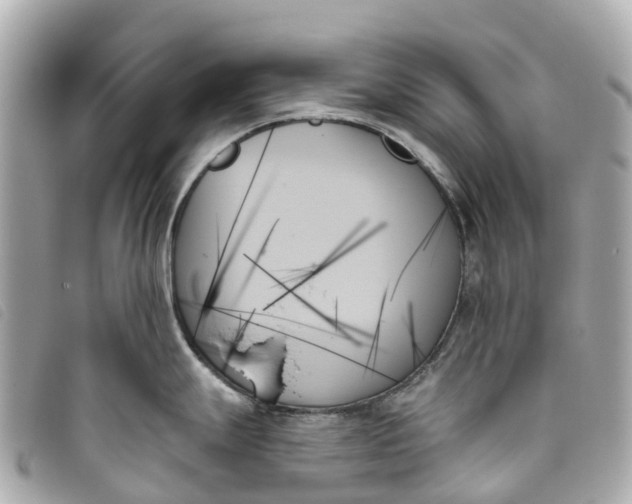 X0000093501247200710261132