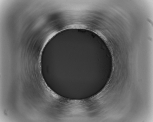 X0000093501248200710261132