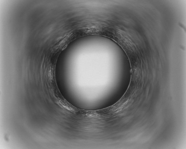 X0000093501250200710261131